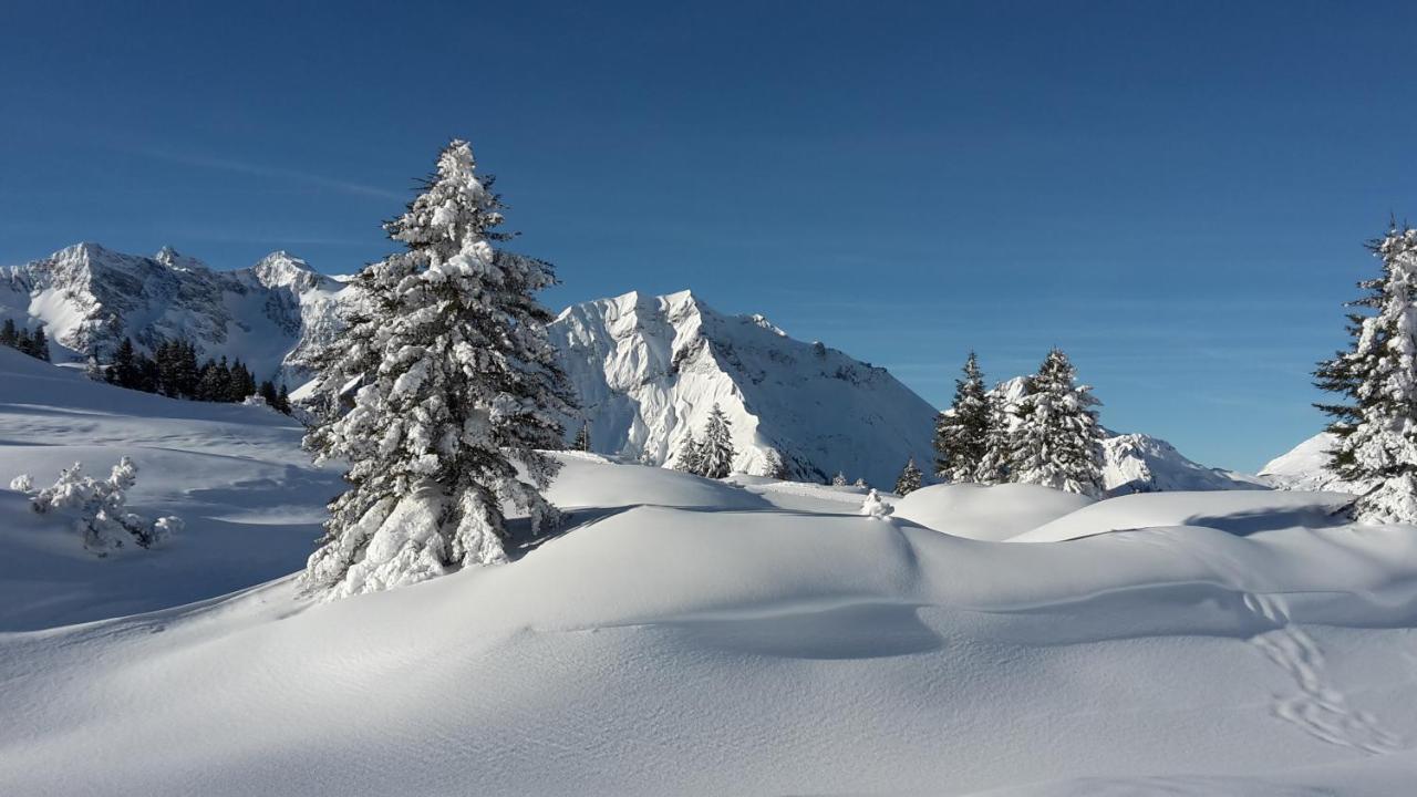 Landhaus Marion Hotel Holzgau Eksteriør billede